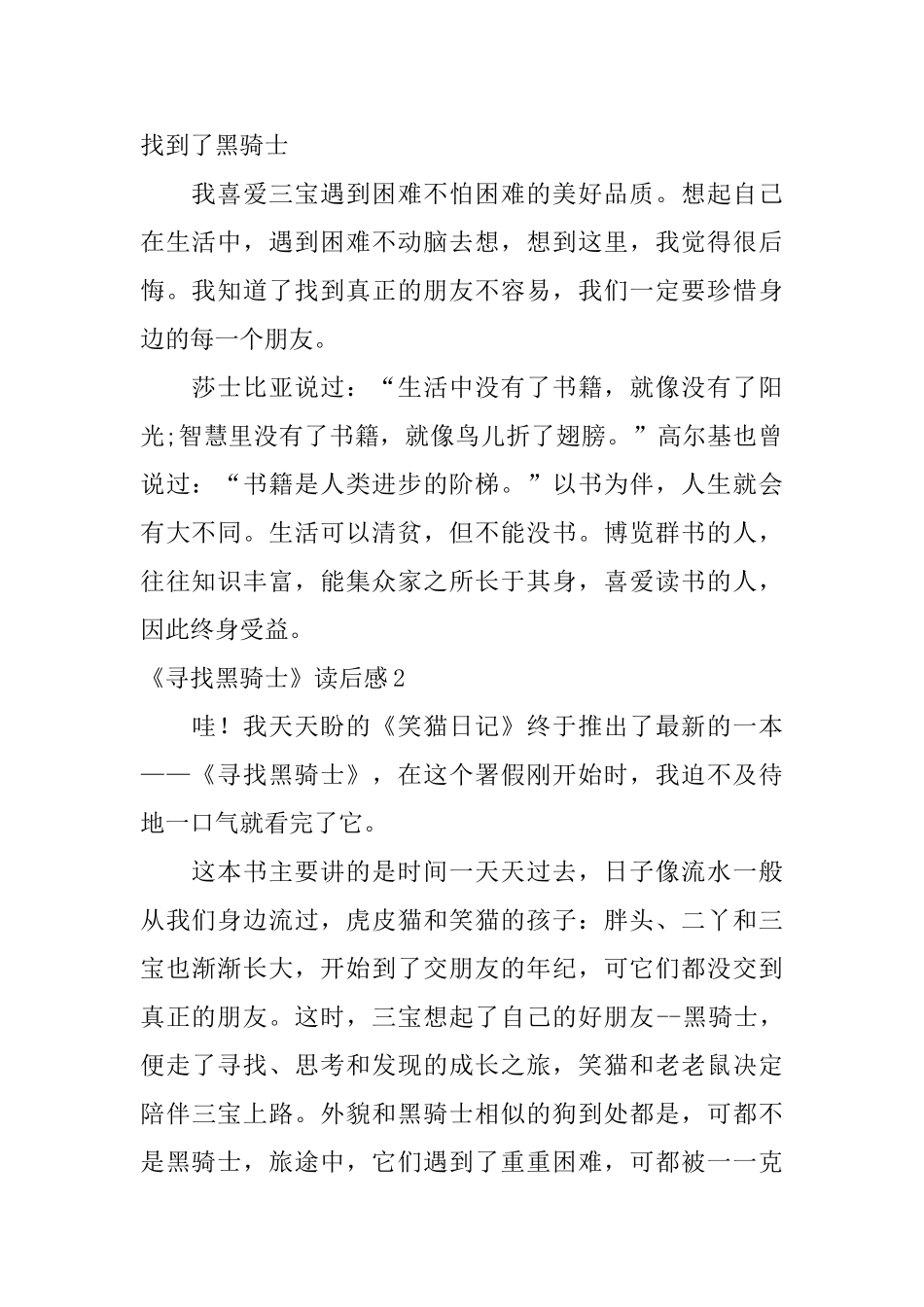 《寻找黑骑士》读后感_第2页