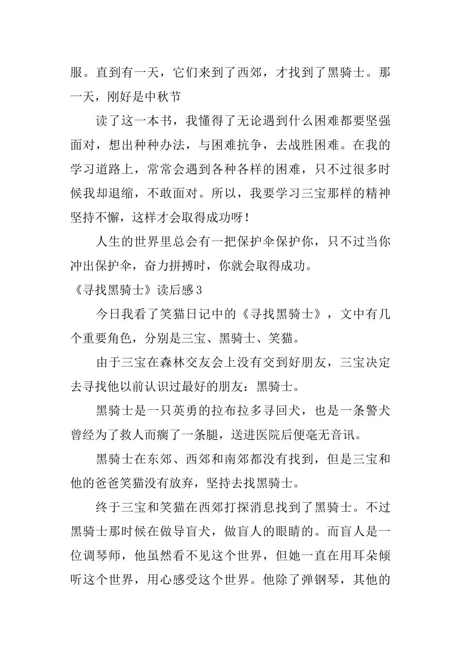 《寻找黑骑士》读后感_第3页