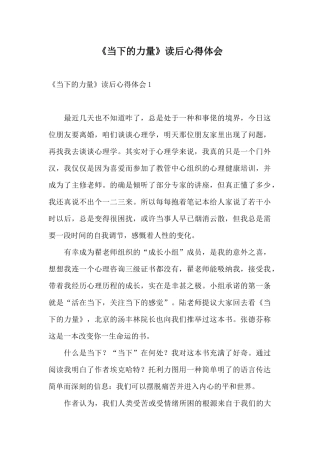 《当下的力量》读后心得体会