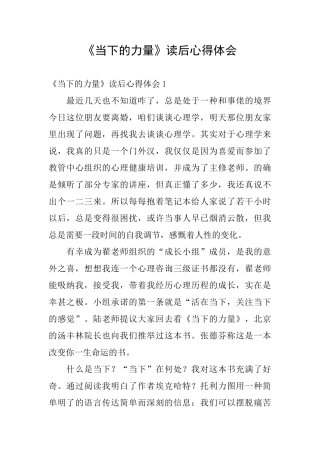《当下的力量》读后心得体会