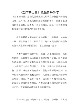 《当下的力量》读后感1000字