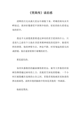 《梵高传》读后感