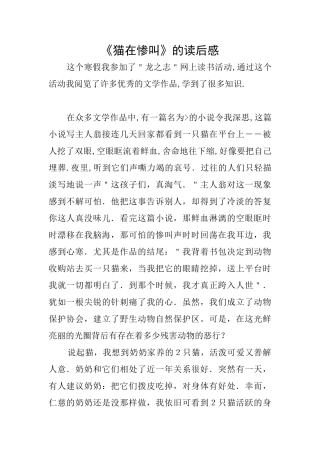 《猫在惨叫》的读后感