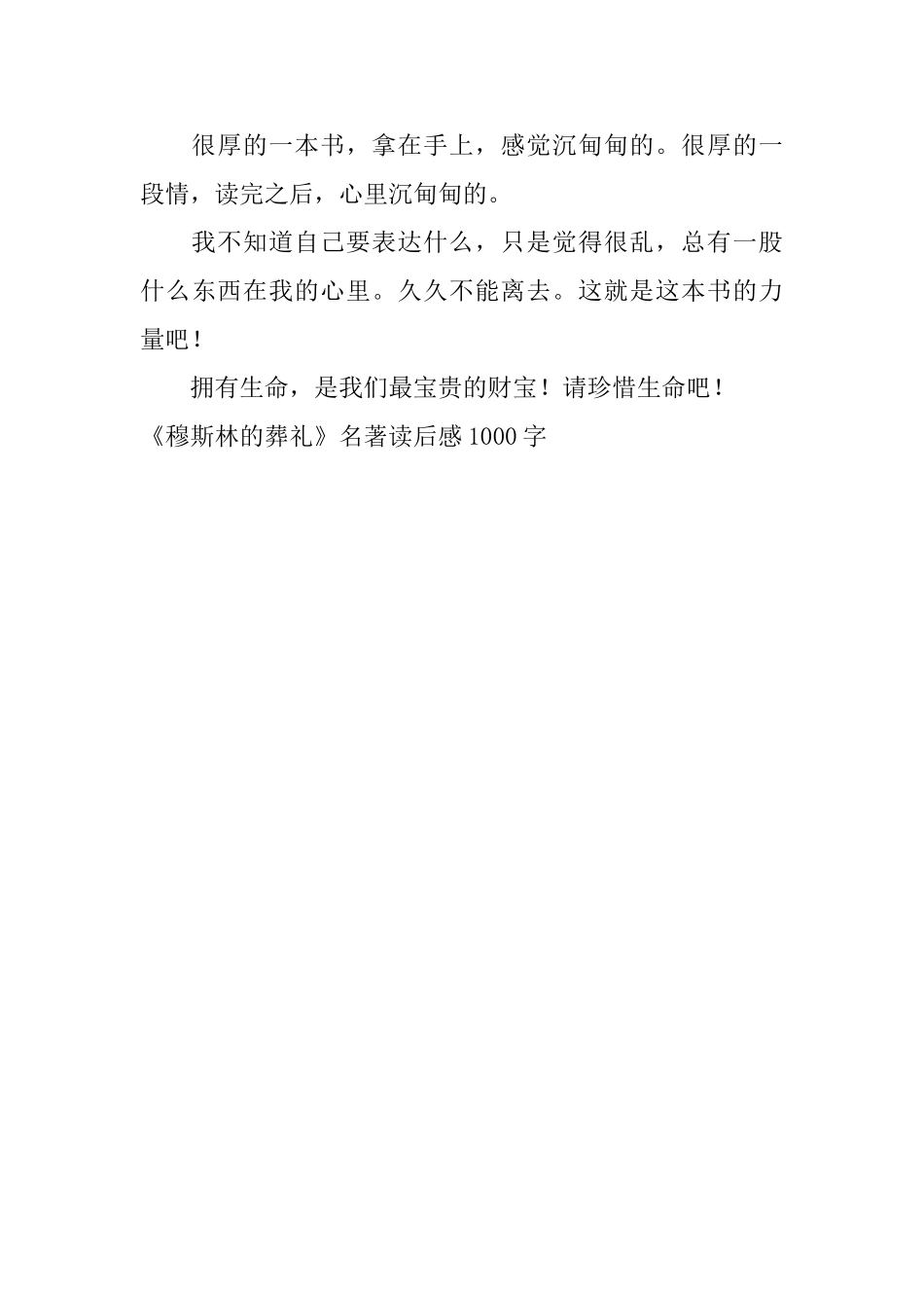 《穆斯林的葬礼》名著读后感1000字_第3页