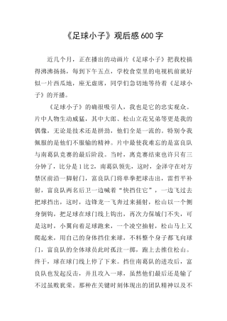 《足球小子》观后感600字