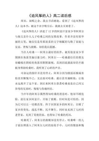 《追风筝的人》高二读后感