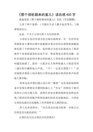 《那个骑轮箱来的蜜儿》读后感400字