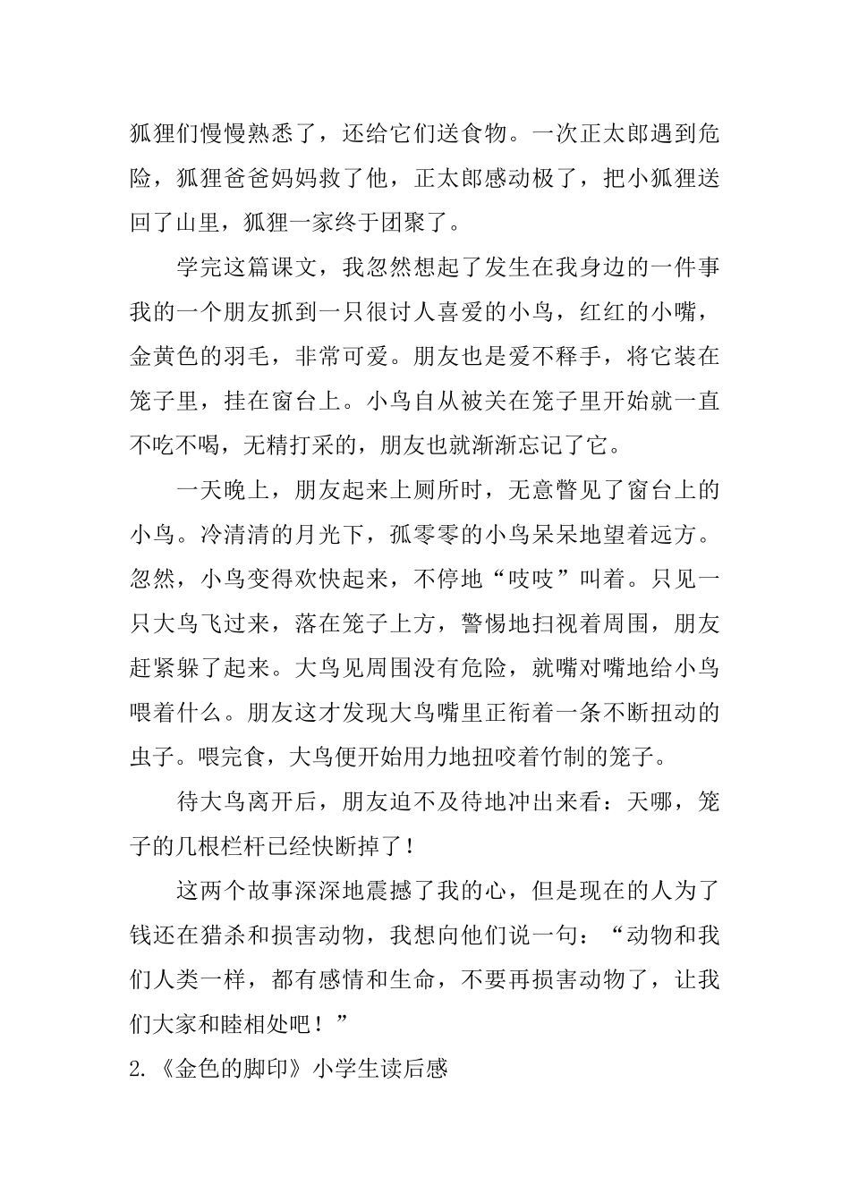 《金色的脚印》小学生读后感_第2页