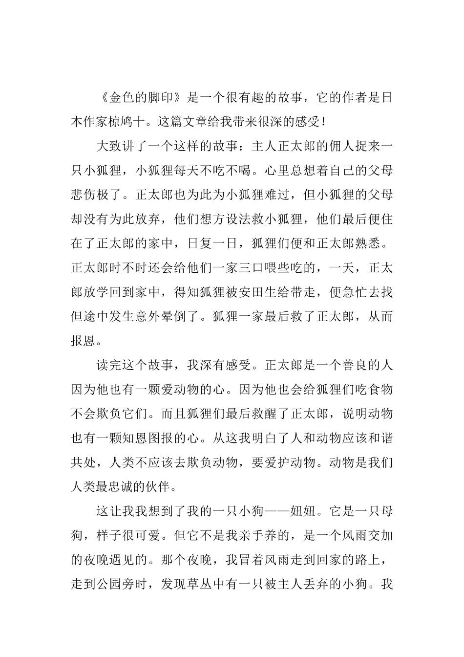 《金色的脚印》小学生读后感_第3页