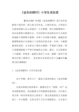 《金色的脚印》小学生读后感