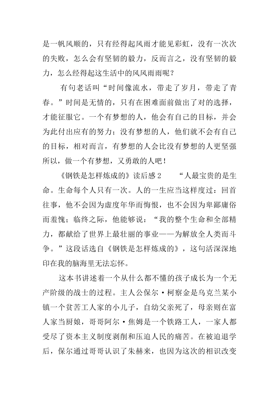 《钢铁是怎样炼成的》读后感4篇_第2页