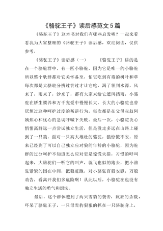 《骆驼王子》读后感范文5篇