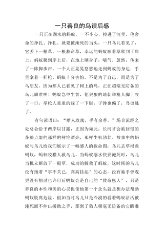 一只善良的鸟读后感