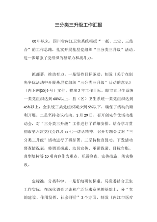 三分类三升级工作汇报