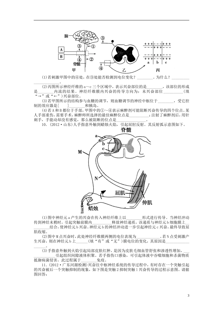 【金版新学案】2014高考生物总复习 第八单元 第27讲通过神经系统的调节拔高课时精练（含解析） 新人教版必修3_第3页