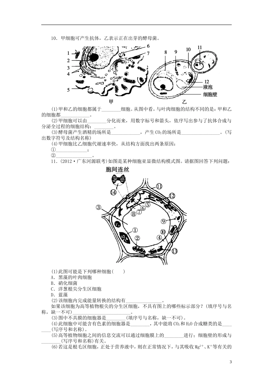 【金版新学案】2014高考生物总复习 第二单元 第6讲细胞器 系统内的分工合作拔高课时精练（含解析） 新人教版必修1_第3页