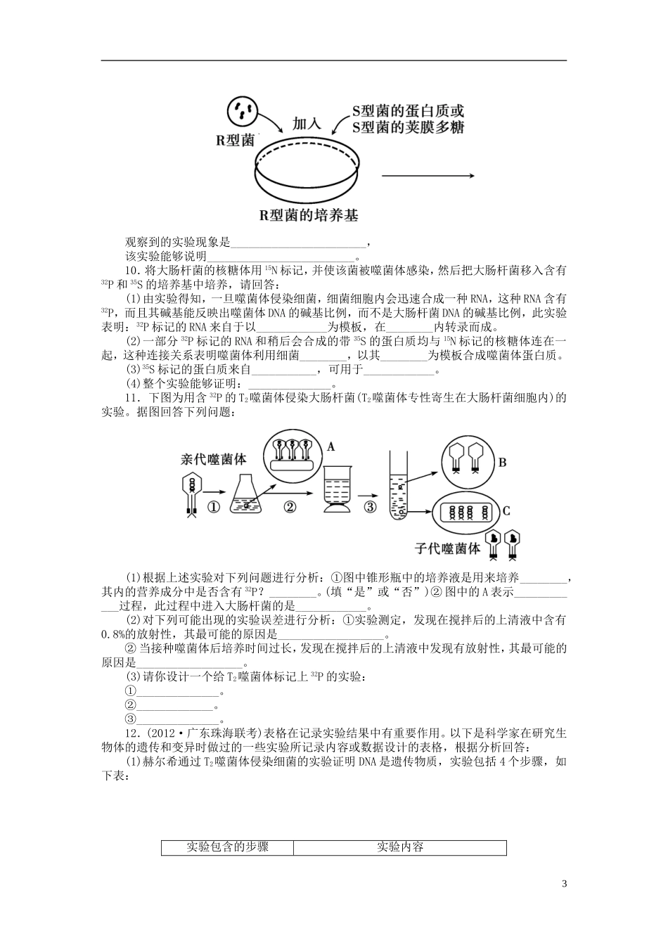【金版新学案】2014高考生物总复习 第六单元 第19讲DNA是主要的遗传物质拔高课时精练（含解析） 新人教版必修2_第3页