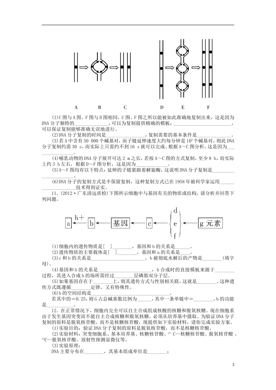 【金版新学案】2014高考生物总复习 第六单元 第20讲DNA分子的结构和复制及基因拔高课时精练（含解析） 新人教版必修2_第3页