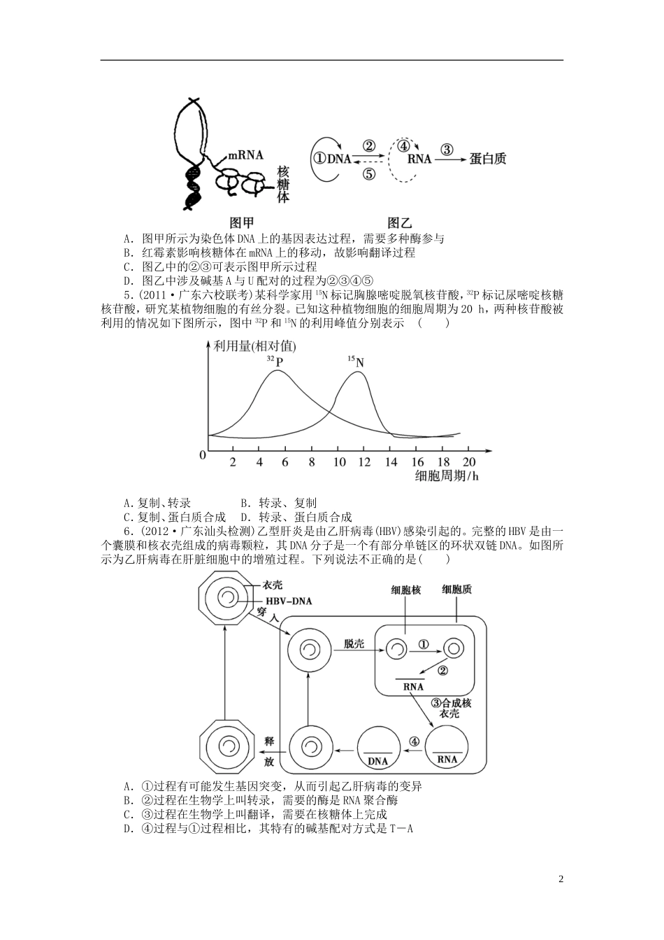 【金版新学案】2014高考生物总复习 第六单元 第21讲基因的表达拔高课时精练（含解析） 新人教版必修2_第2页