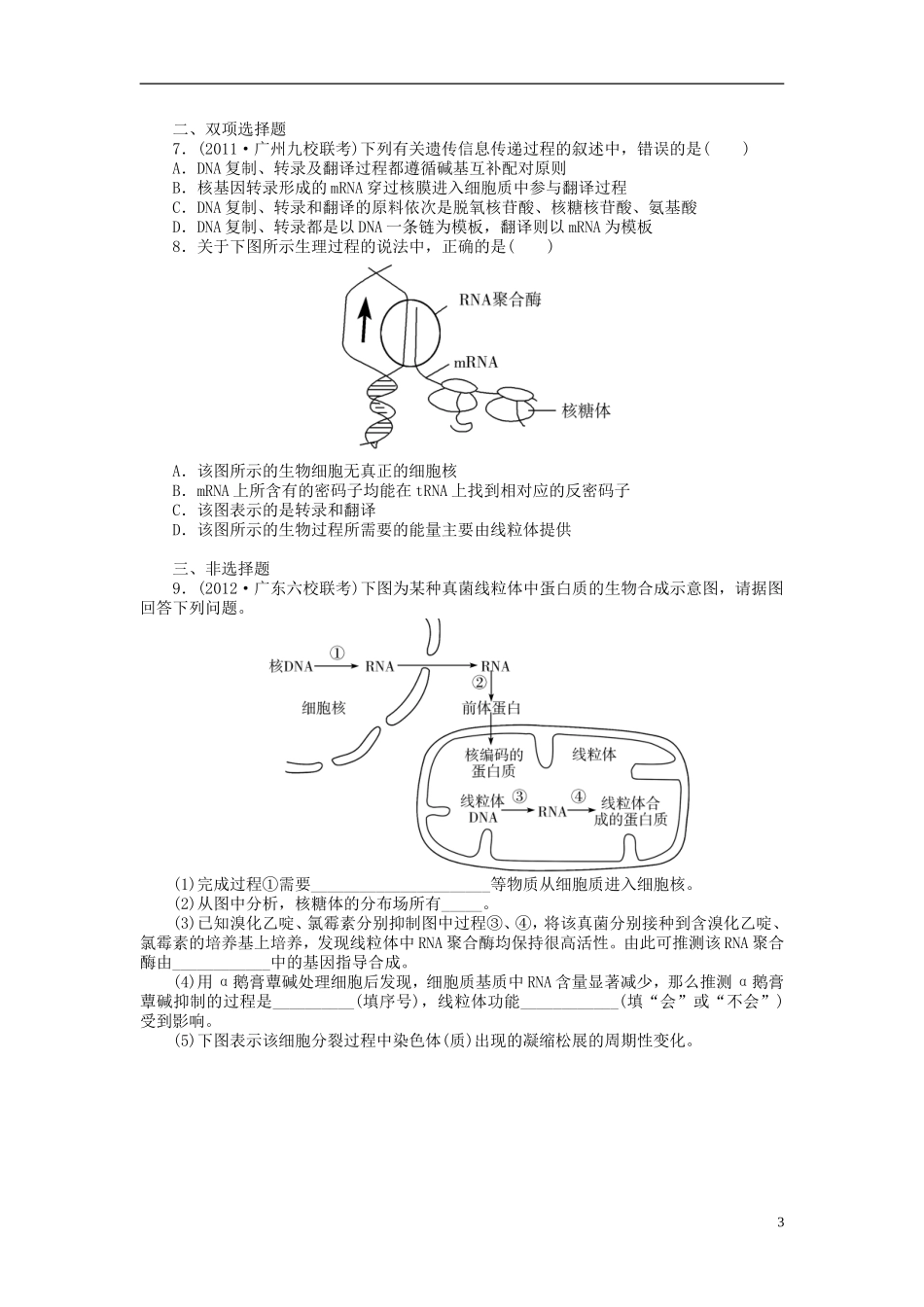 【金版新学案】2014高考生物总复习 第六单元 第21讲基因的表达拔高课时精练（含解析） 新人教版必修2_第3页