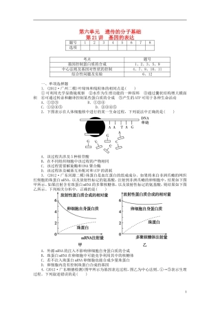 【金版新学案】2014高考生物总复习 第六单元 第21讲基因的表达拔高课时精练（含解析） 新人教版必修2