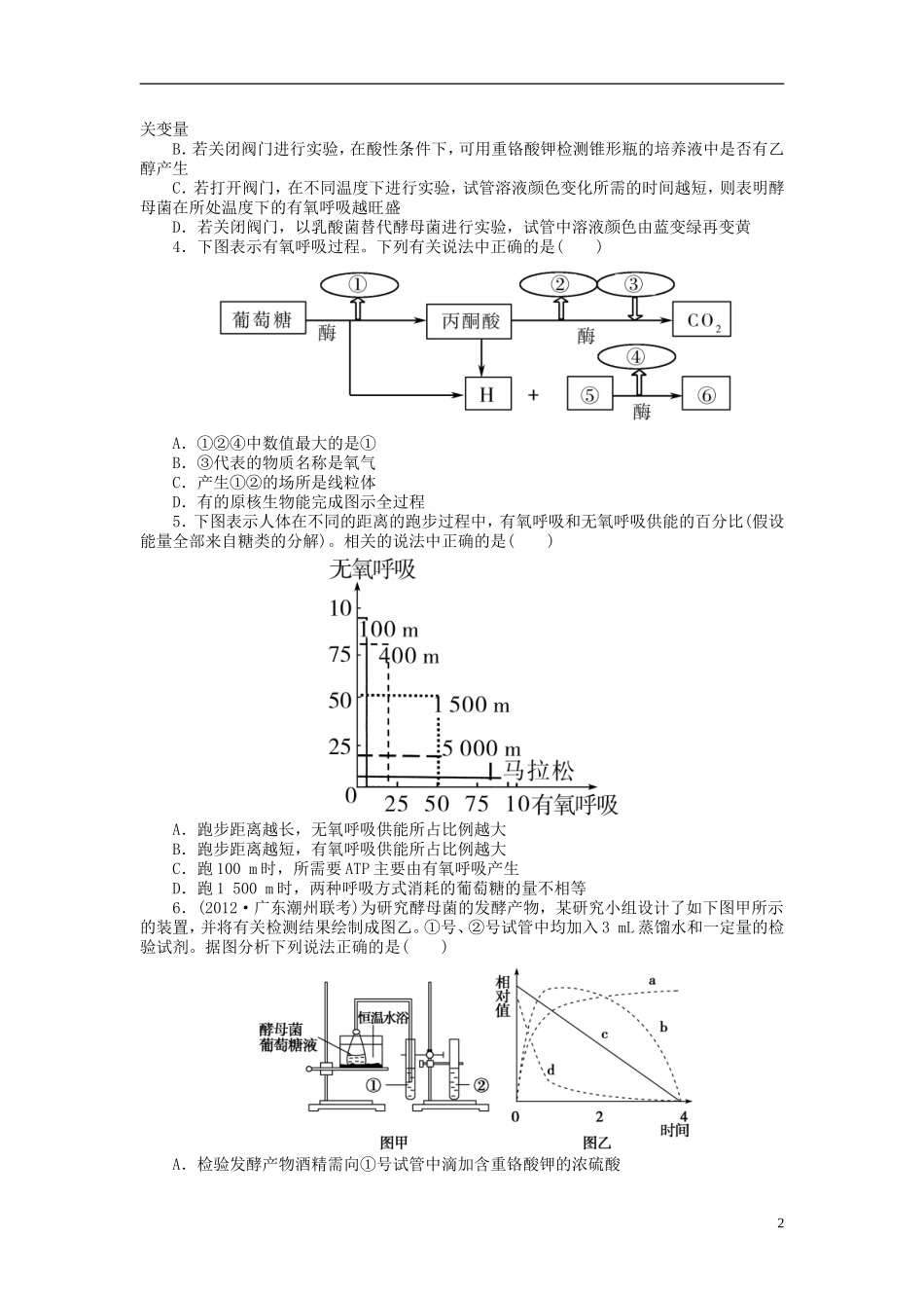 【金版新学案】2014高考生物总复习 第三单元 第10讲ATP的主要来源 细胞呼吸拔高课时精练（含解析） 新人教版必修1_第2页