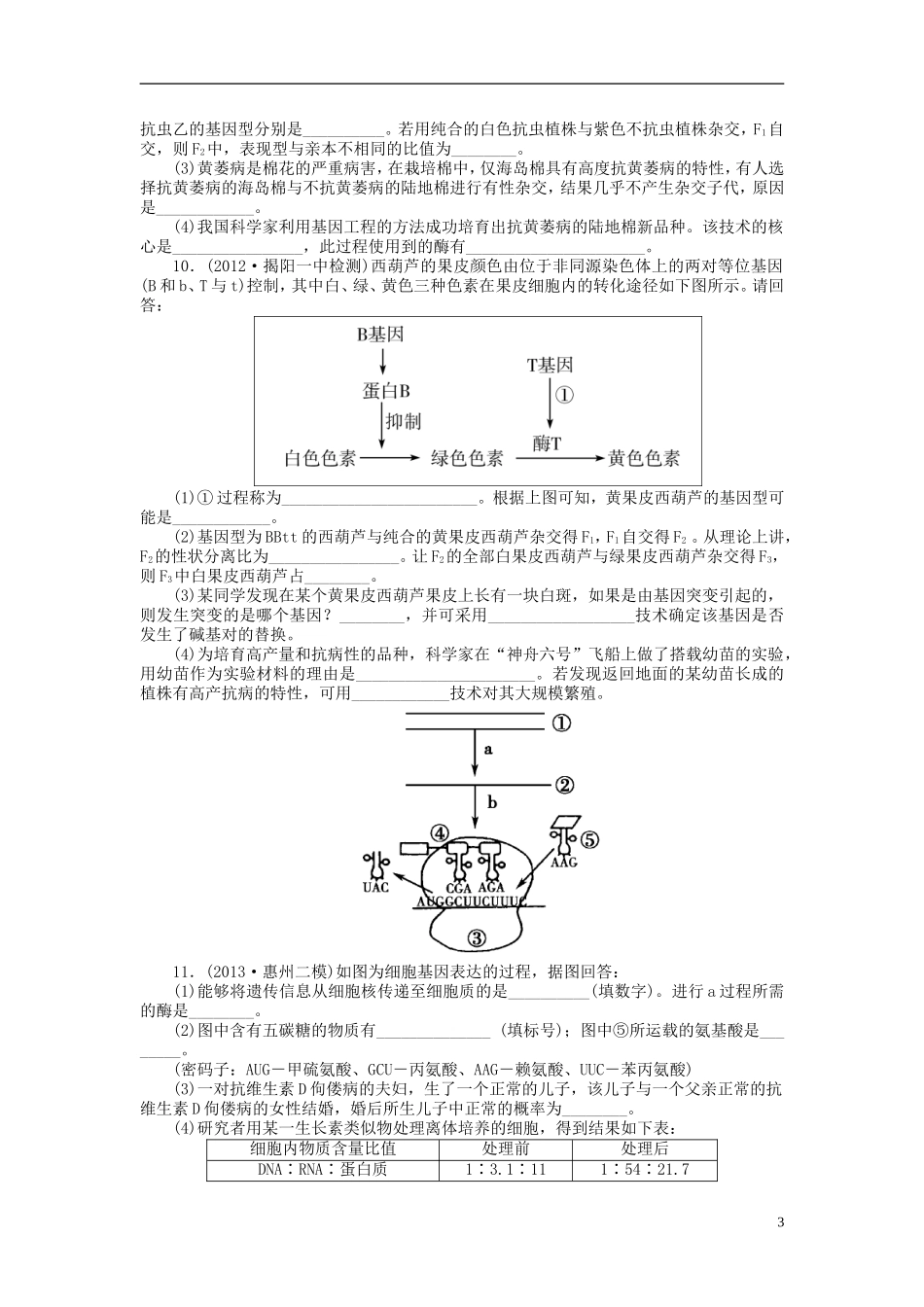 【金版新学案】2014高考生物总复习 第五单元 第17讲孟德尔的豌豆杂交实验(二)拔高课时精练（含解析） 新人教版必修2_第3页