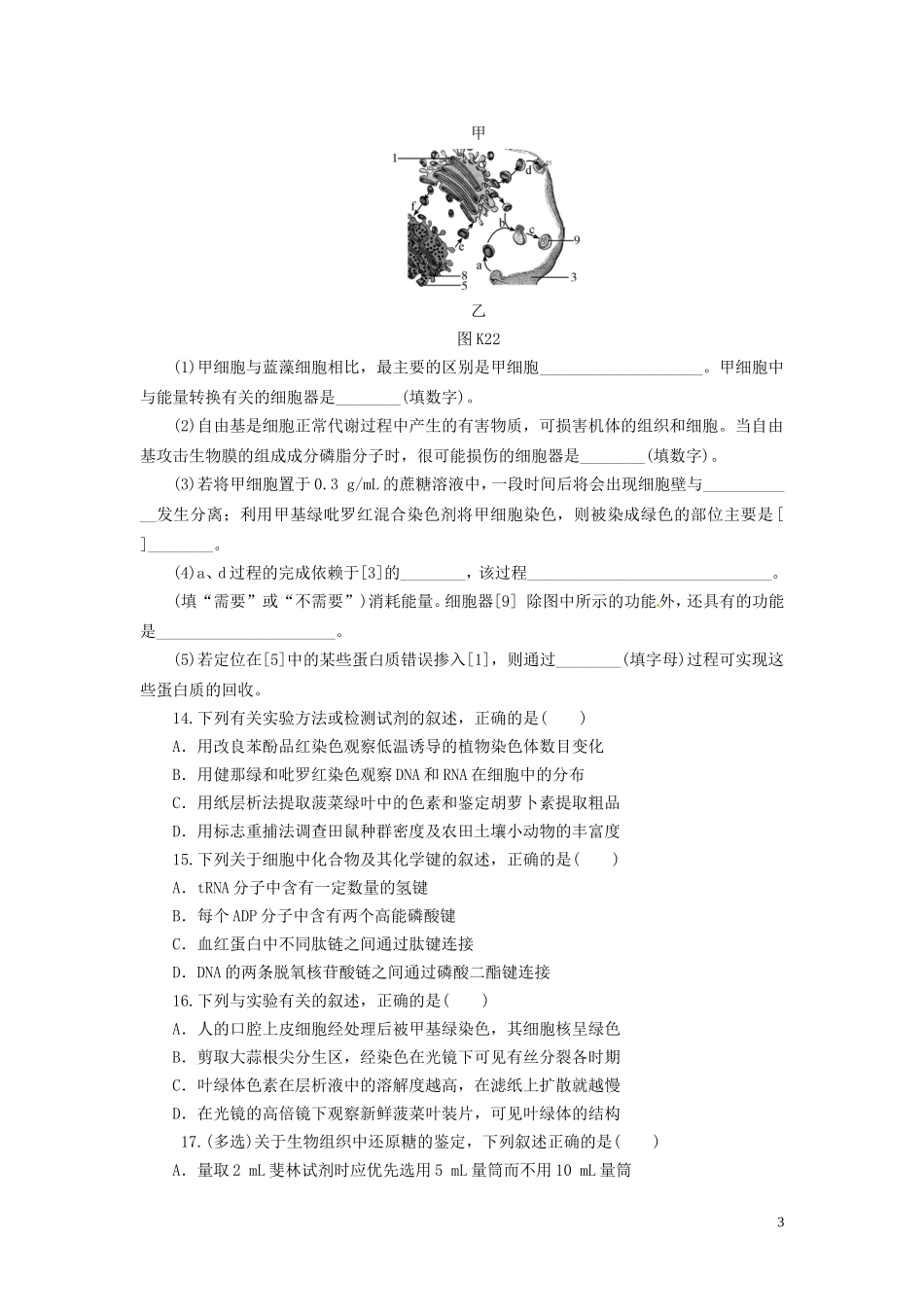 云南省德宏州梁河县第一中学2015届高三生物一轮复习 细胞与化学组成及细胞的结构与功能学案 _第3页