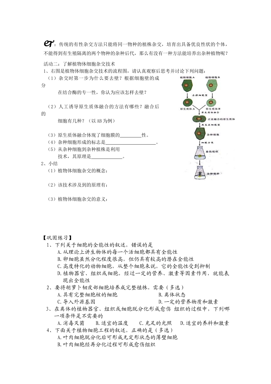 专题2  细胞工程 植物细胞工程_第2页