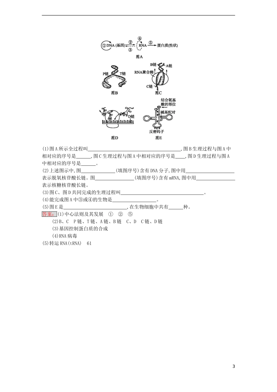 【金牌学案】2016-2017学年高中生物 4.2 基因对性状的控制课时训练 新人教版必修2_第3页