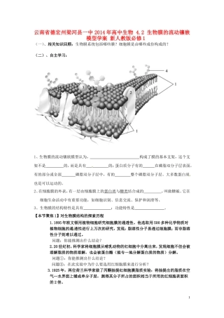 云南省德宏州梁河县一中2014年高中生物 4.2 生物膜的流动镶嵌模型学案 新人教版必修1