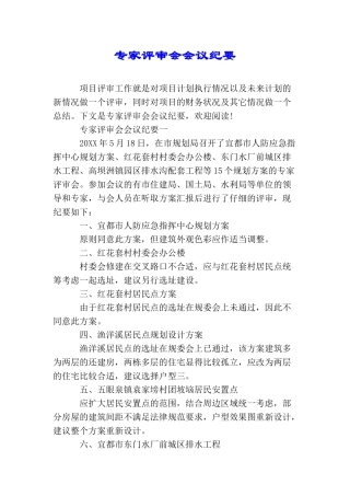 专家评审会会议纪要