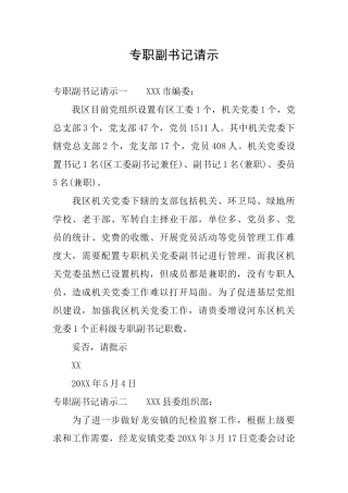 专职副书记请示