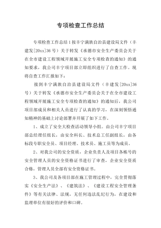 专项检查工作总结