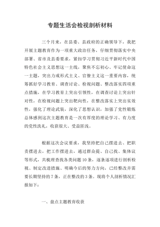 专题生活会检视剖析材料