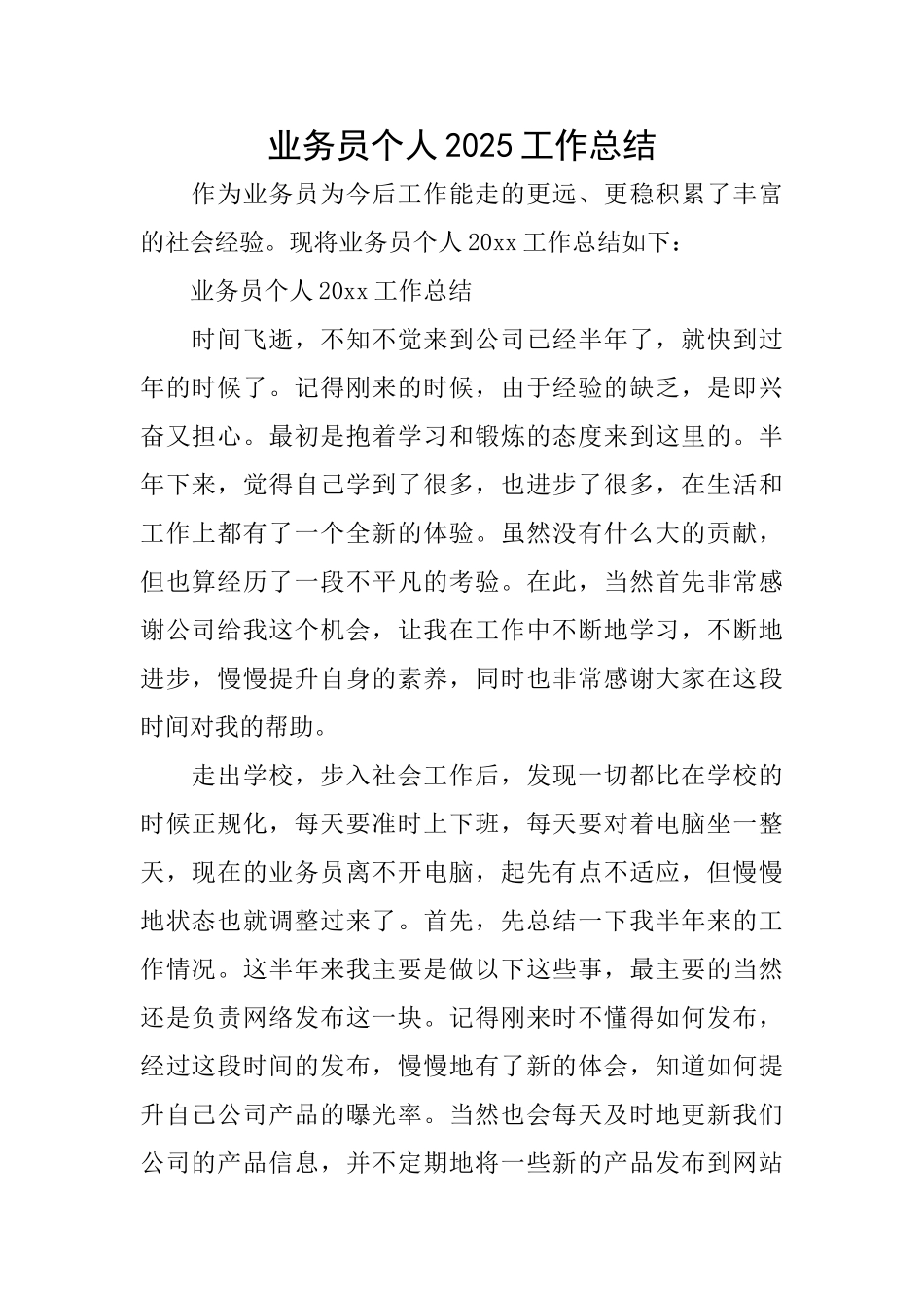 业务员个人2025工作总结_第1页