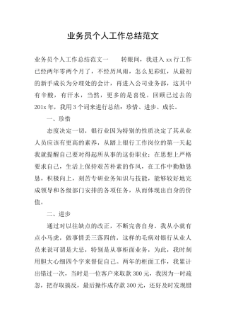 业务员个人工作总结范文