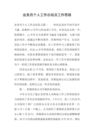 业务员个人工作总结及工作思路