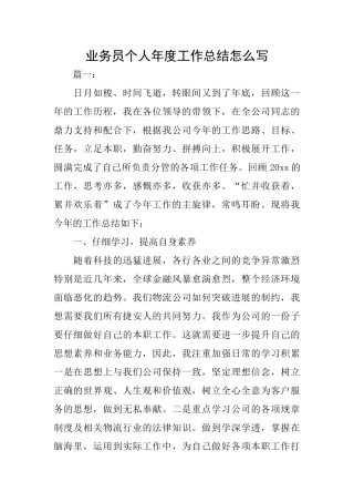 业务员个人年度工作总结怎么写