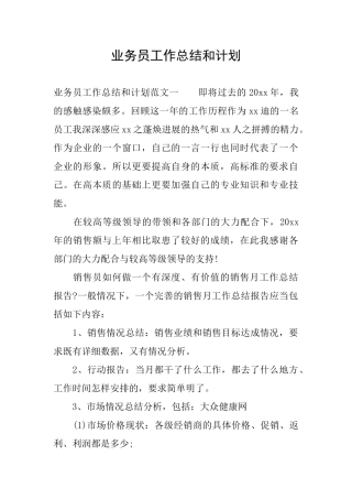 业务员工作总结和计划