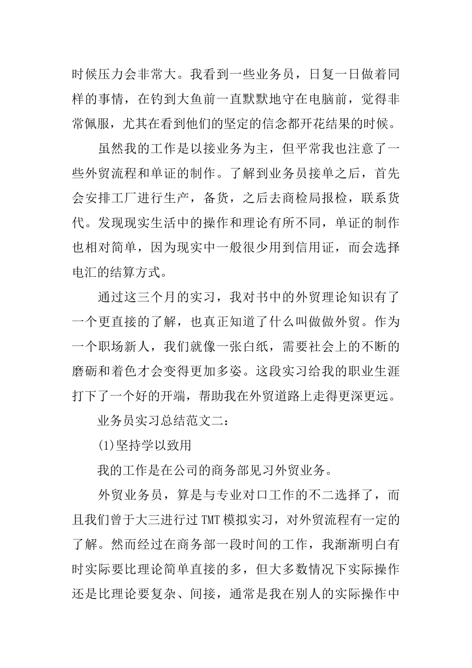 业务员实习总结范文3篇_第3页