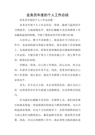 业务员年度的个人工作总结