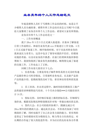 业务员年终个人工作总结范文