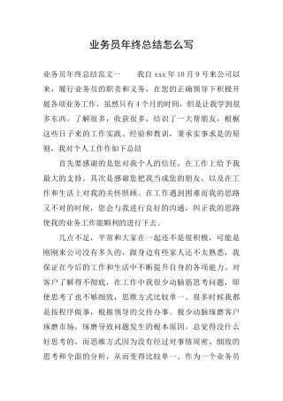 业务员年终总结怎么写