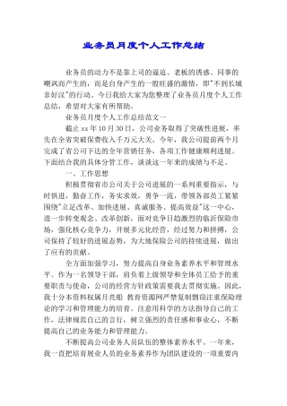 业务员月度个人工作总结
