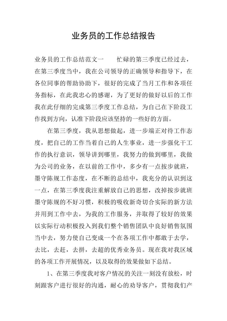 业务员的工作总结报告_第1页