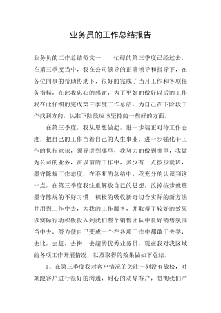 业务员的工作总结报告