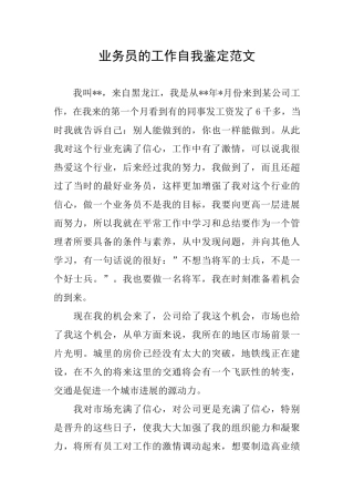 业务员的工作自我鉴定范文