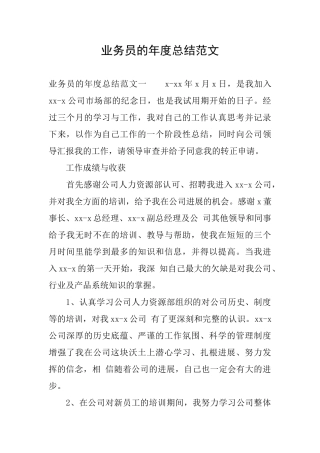 业务员的年度总结范文