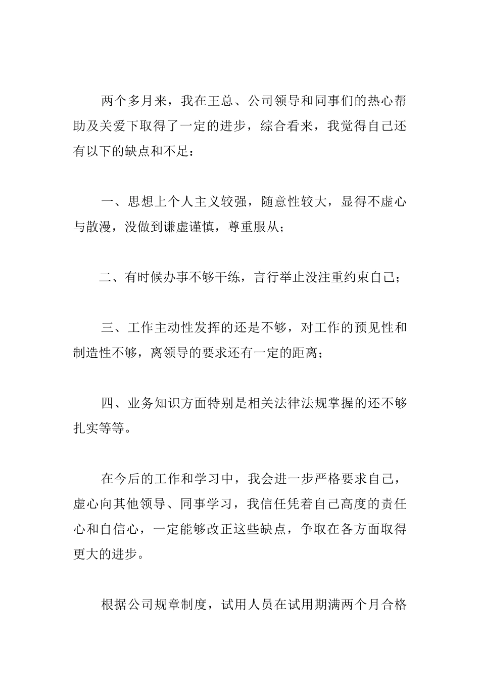 业务员试用期转正工作总结三篇_第2页